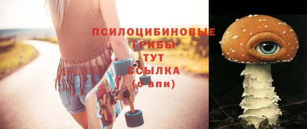 не бодяженный Богданович