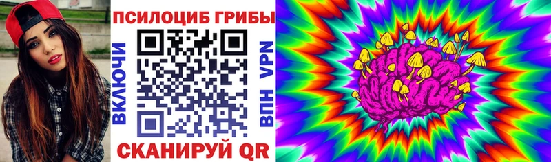Галлюциногенные грибы Psilocybe  хочу наркоту  Курган 