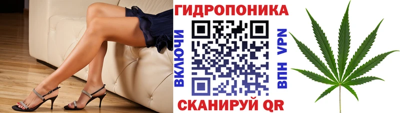мега зеркало  цены   Курган  Канабис план 